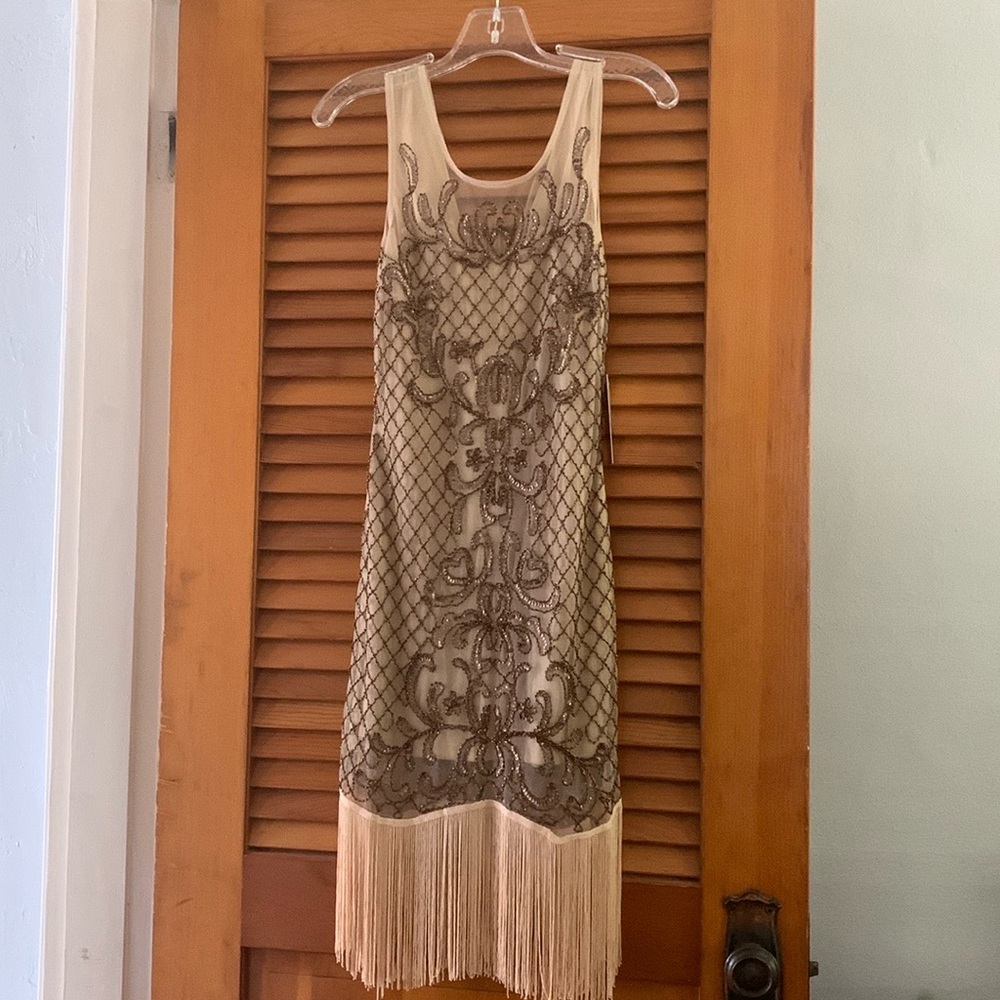 Elegant Cream and Brown Embellished Dress